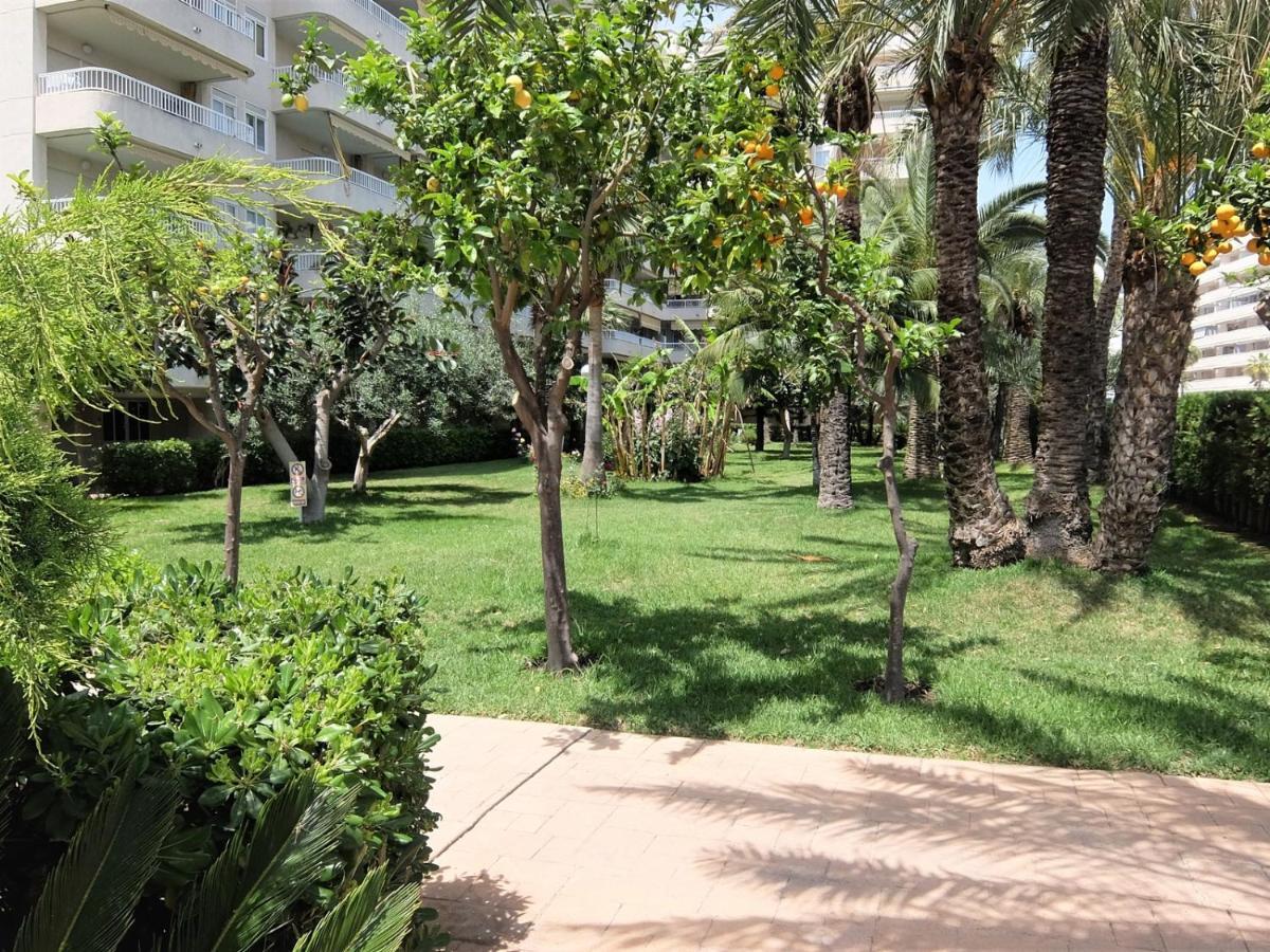 Parque Mota - Alquiler Solo A Familias Apartment Playa de Gandia Exterior photo